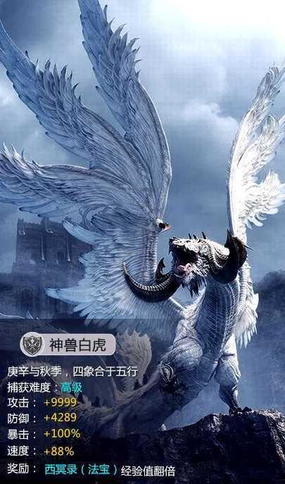 春雨直播app